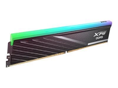 ADATA 32 GB | DDR5 | 6000 MHz | PC/server | Registered No | ECC Yes