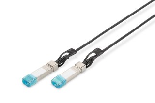 Digitus | 10GBase direct attach cable | Twinaxial | SFP+ | SFP+ | Black | 0.5 m