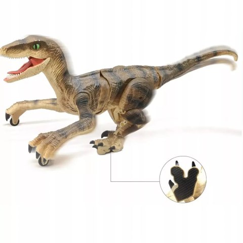 Dinozaur Velociraptor zdalnie sterowany pilot port usb dźwięki QX023