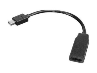 Lenovo 19 pin HDMI Typu A | Żeński | Mini DisplayPort | Męski | 0,2 m