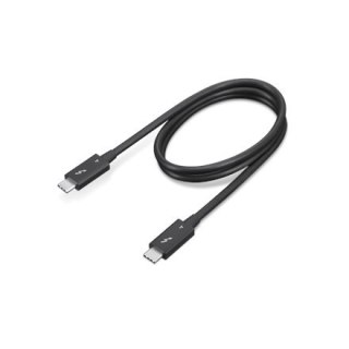 Lenovo | Kabel Thunderbolt | Męski | 24-pinowy USB-C | Męski | Czarny | 24-pinowy USB-C | 0,7 m