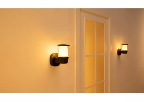 WiZ Smart WiFi Outdoor Wall Light Wizarding World