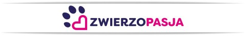 Silikonowy żwirek dla kota ZWIERZOPASJA komplet 10 X 3,8 L