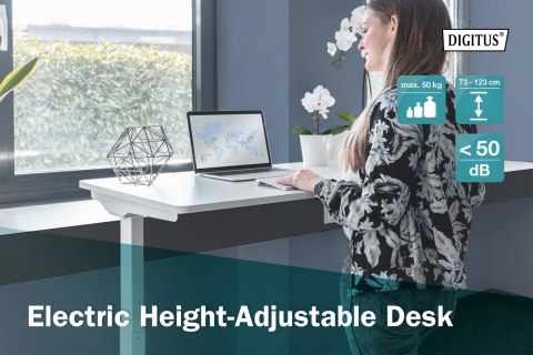 Digitus | Electric Height Adjustable Desk | 73 - 123 cm | Maximum load weight 50 kg | Metal | White